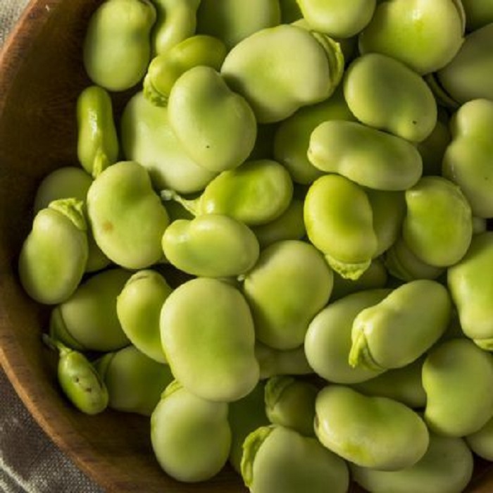 Premium Quality Dried Broad Beans / Dried Fava Beans We offer High Quality Dried Broad Beans / Dried Fava Beans Sizes: 40-50pcs/100g 50-60pcs/100g