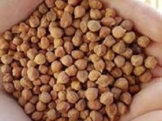 We are suppliers and distributors of high quality Kabuli