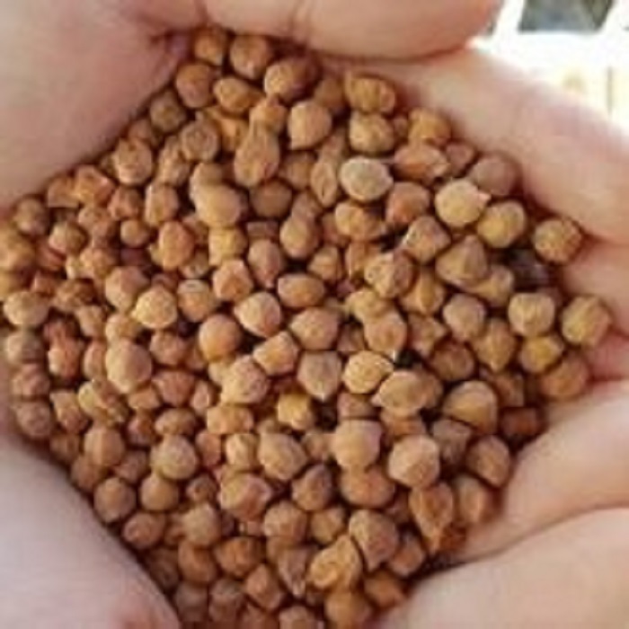 We are suppliers and distributors of high quality Kabuli Chickpeas