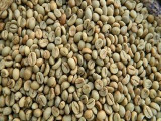 Grade :AAA Wholesale Certificate Arabica coffee beans Brand: oem