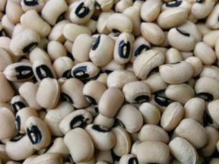New Crop Black Eye Vigna white Beans /Cowpeas We