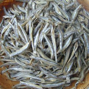 We are reliable supplier of a variety of Seafood products especially in dried fishes such as Round Scad Fish, Yellow Stripe Fish, Shrimp, Baby Shrimp, File