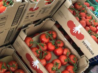 I am selling tomatoes, Greece, Turkey. Price 6 lei