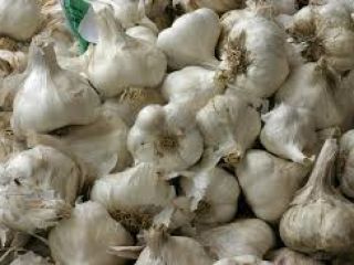 High quality white garlic