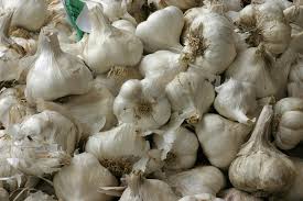 High quality white garlic