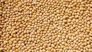 We are a supplier of agricultural products (soybeans, shea seeds and shea butter) in Benin in West Africa