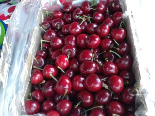 Cherries Fresh Cherries Delicious Cherries The season will start