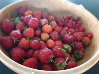 I will buy strawberries 1000 baskets a day all