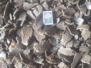 Dear Sir or Madam! We currently sell high-protein linseed