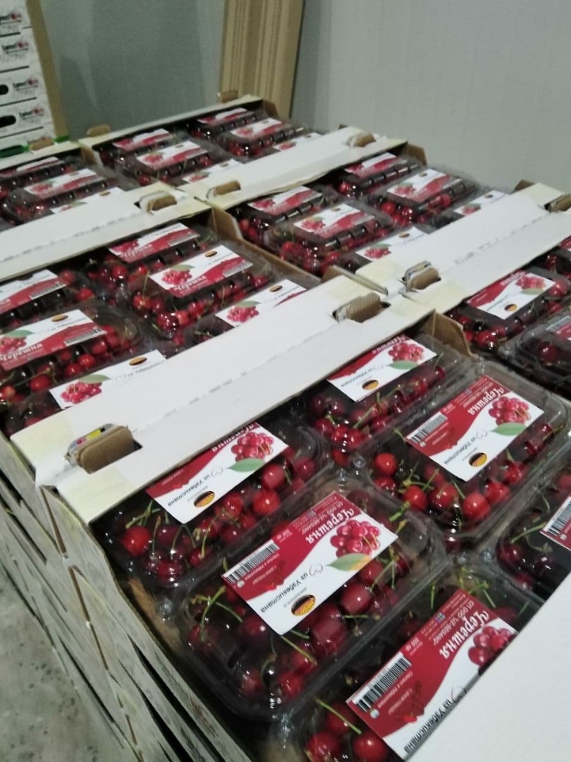 We have fresh cherry and it is ready for sale