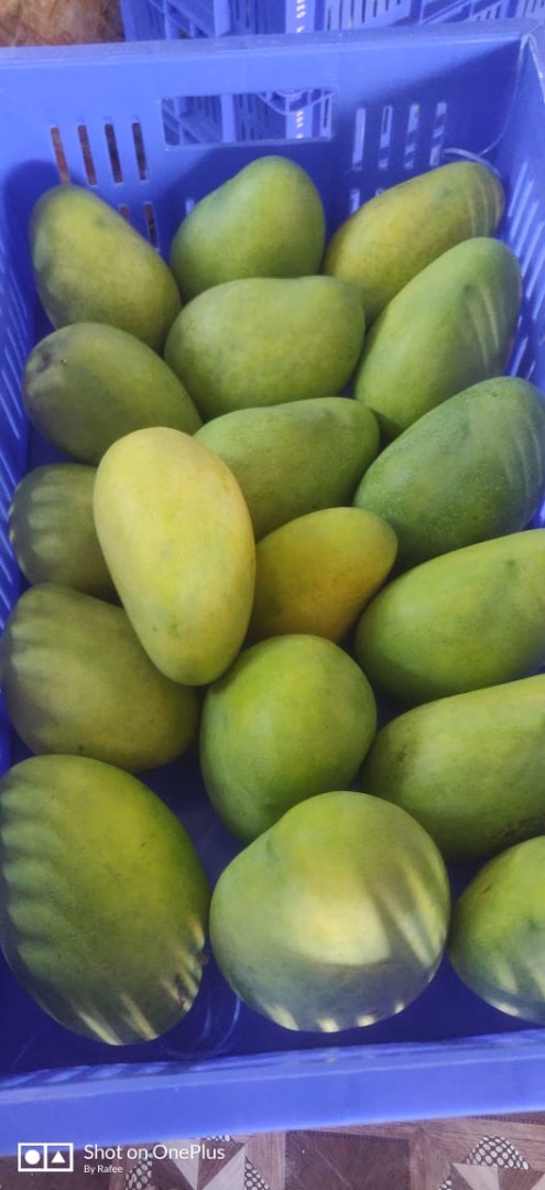 Komatha Fresh, from Amsterdam/The Netherlands is already for over 10 years a renown and respected trader of premium quality fruits, like grapes, pomegranates