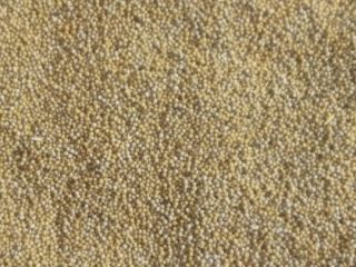 I will sell 3.5 tons of white mustard. For