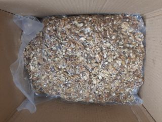 Walnut kernels clear, mix 30% halves. Buy a bright