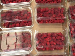 POLKA raspberry plantation, is the variety with the best
