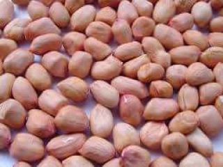 High quality soyabeans,maize, groundnut.