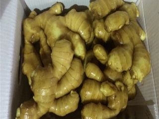 Product Fresh Young and Old Ginger (New 2020 and