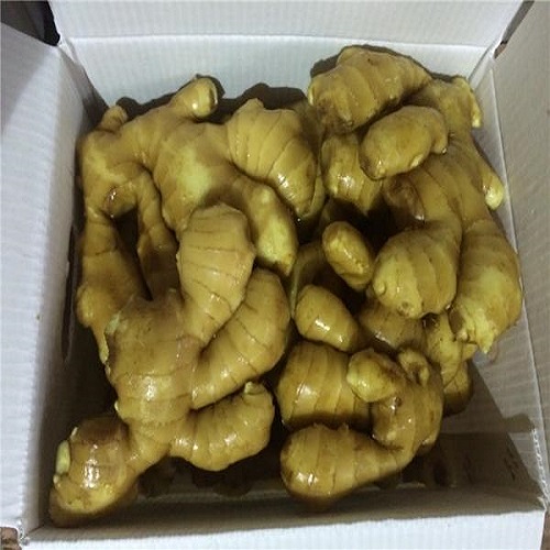 Product Fresh Young and Old Ginger (New 2020 and Old 2019 crops) OriginThailand Origin Type Fresh Washed Ginger, Air-Dried Ginger, Size 50g-100g, 100g-150g up