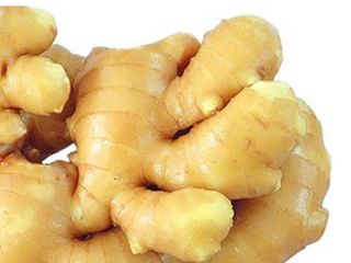 Product Fresh Young and Old Ginger (New 2020 and