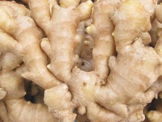 Product Fresh Young and Old Ginger (New 2020 and