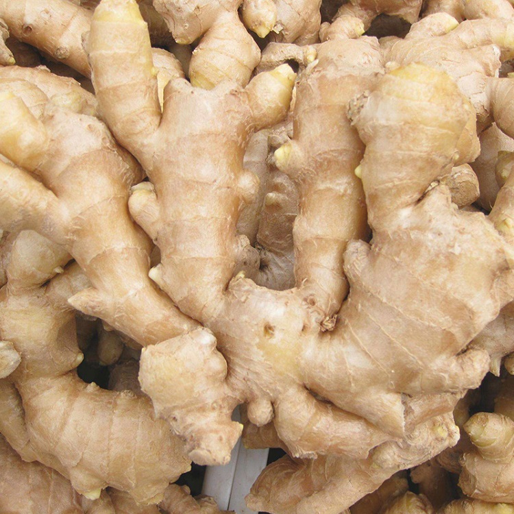 Product Fresh Young and Old Ginger (New 2020 and Old 2019 crops) OriginThailand Origin Type Fresh Washed Ginger, Air-Dried Ginger, Size 50g-100g, 100g-150g up