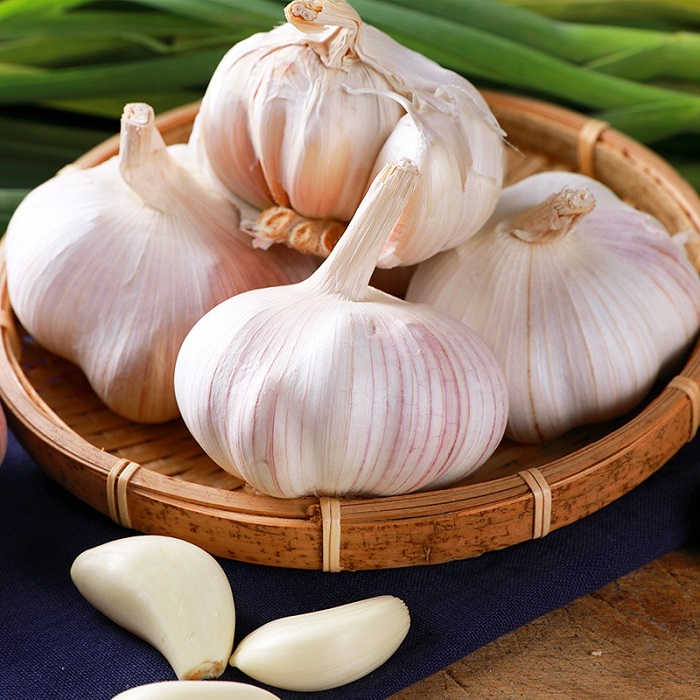 Garlic nutrient-rich: every 100 grams of water containing 69.8 grams, 4.4 grams of protein, 0.2 grams of fat, carbon garlic Garlic (22 sheets) Water compound