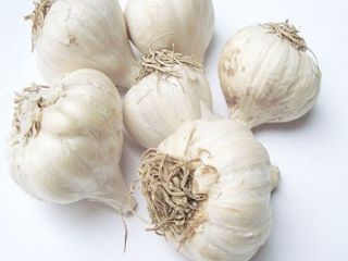 Garlic nutrient-rich: every 100 grams of water containing 69.8