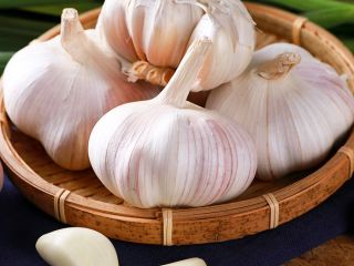 Garlic nutrient-rich: every 100 grams of water containing 69.8