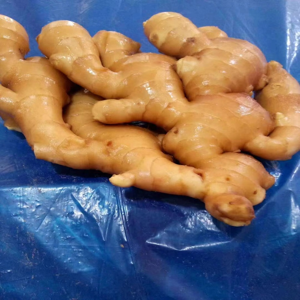 Product Fresh Young and Old Ginger (New 2020 and Old 2019 crops) OriginThailand Origin Type Fresh Washed Ginger, Air-Dried Ginger, Size 50g-100g, 100g-150g up