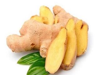 Product Fresh Young and Old Ginger (New 2020 and