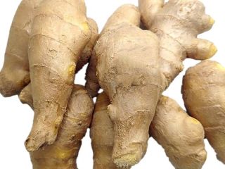 Product Fresh Young and Old Ginger (New 2020 and