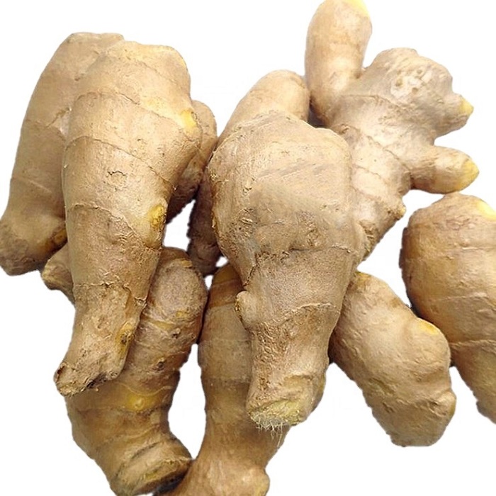 Product Fresh Young and Old Ginger (New 2020 and Old 2019 crops) OriginThailand Origin Type Fresh Washed Ginger, Air-Dried Ginger, Size 50g-100g, 100g-150g up