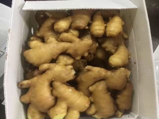 Product Fresh Young and Old Ginger (New 2020 and