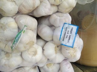 Garlic (Allium sativum), is used widely as a flavoring