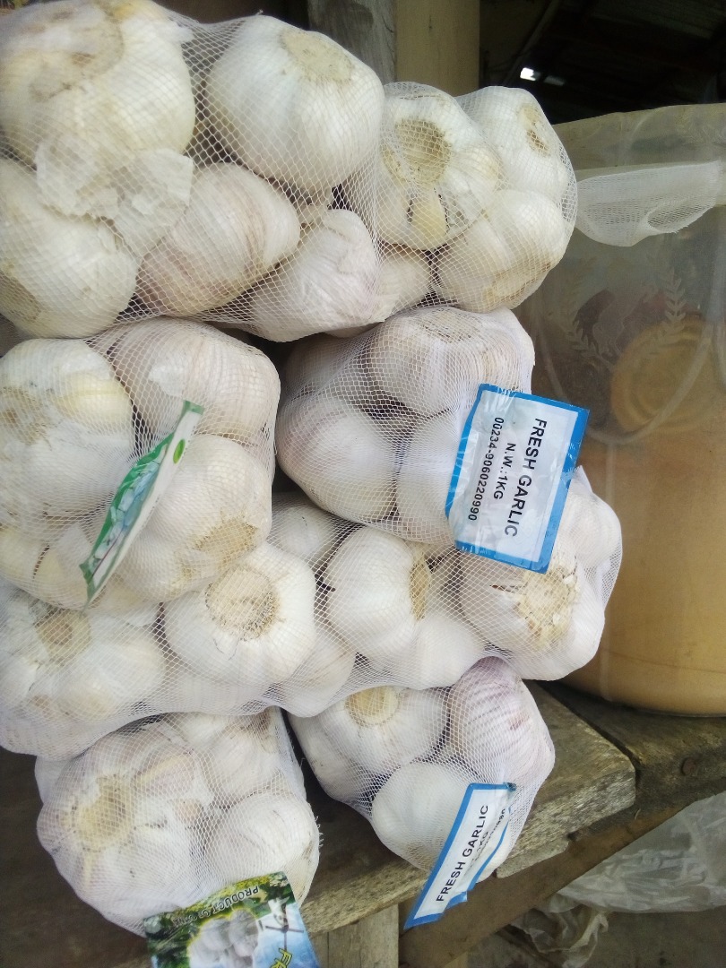 Garlic (Allium sativum), is used widely as a flavoring in cooking, but it has also been used as a medicine throughout ancient and modern history; it has been
