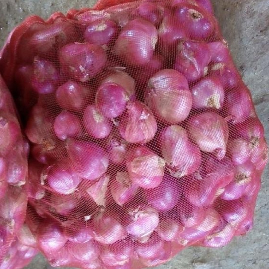 Wholesale Sale Onions Red Fresh Onion in Bulk