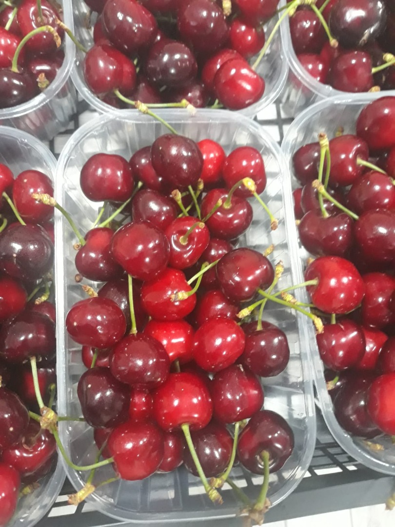 About 5 days will be alvelible bih quantity of sweet cherries from Serbia