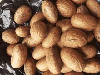 Get your top quality Garcina kola available
