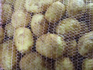 Fresh white onions. 50+. Viber Vatsap