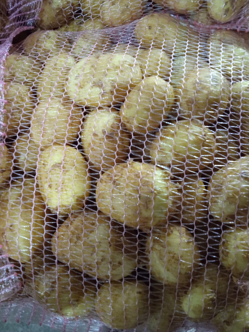 Fresh white onions