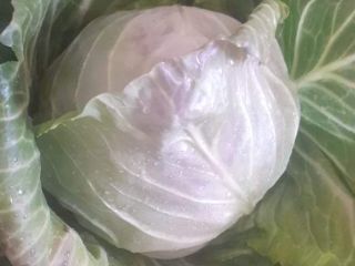 Hello. I will sell young cabbage, quantity and packaging
