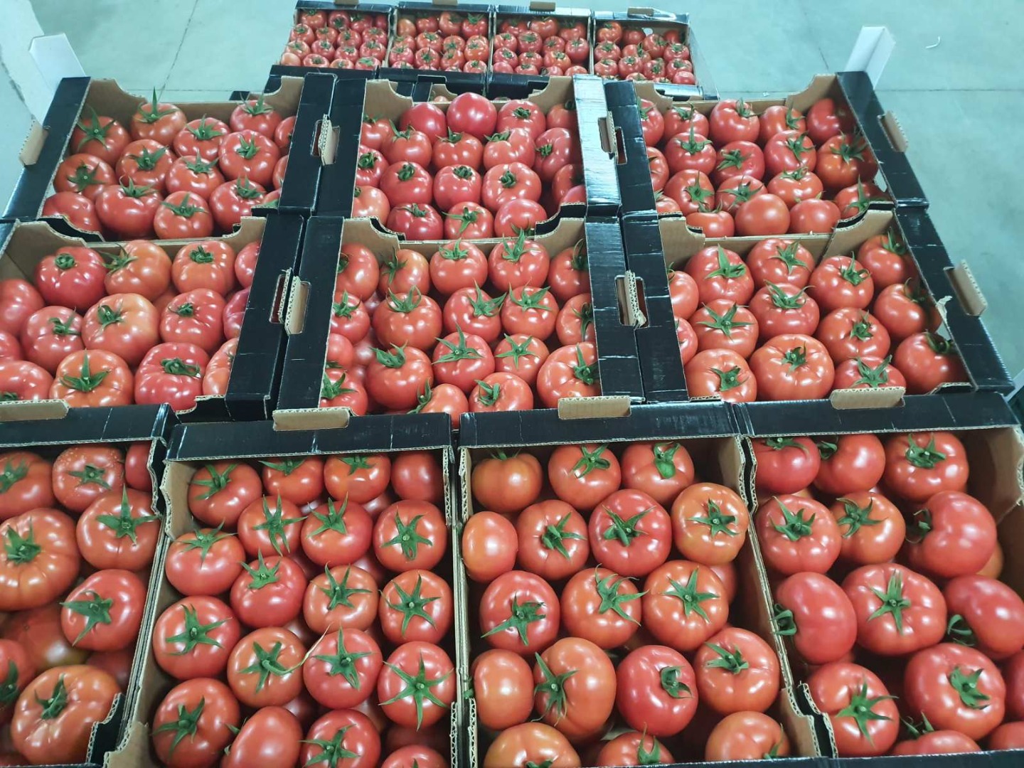 Tomatoes Macedonia, optional packing