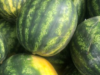 I sell melons. Quality 1. Brought 29.05. For details