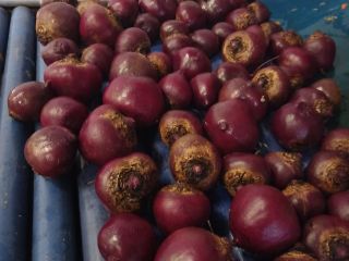 Round beetroot, cold, caliber 5-10. In 10 kg raschel