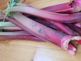Mint and Rhubarb