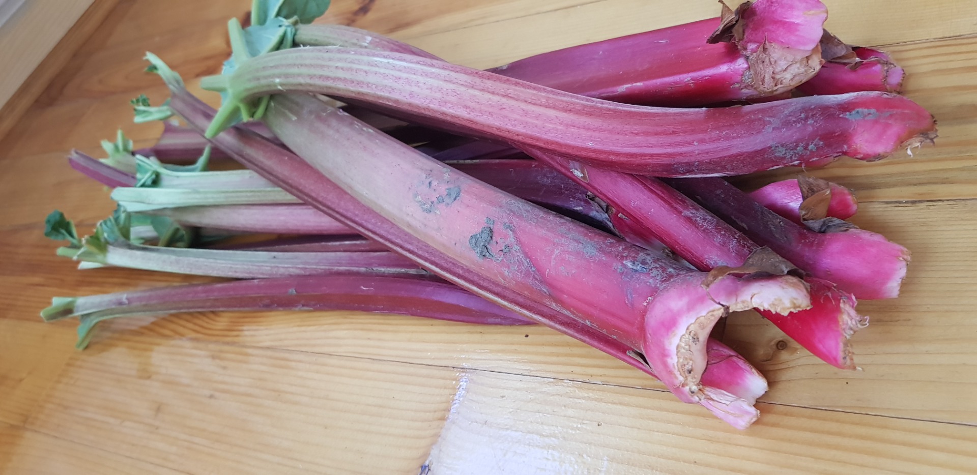 Mint and Rhubarb