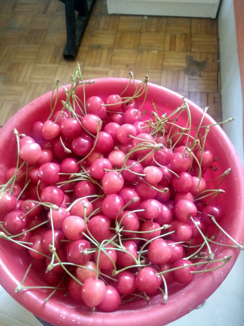 I invite you to buy cherries, the May variety