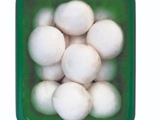 Ecological white /Brown champignons All sizes , all packaging