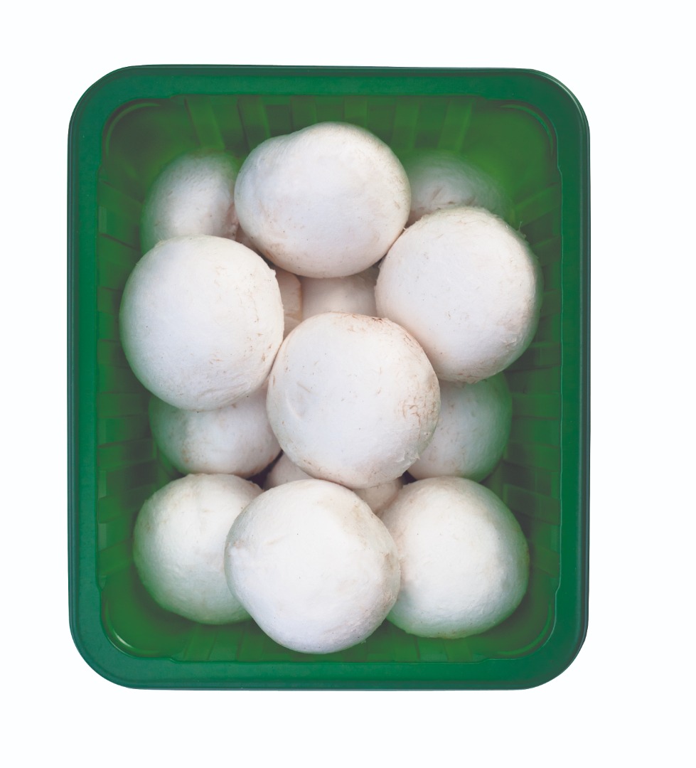 Ecological white /Brown champignons All sizes , all packaging