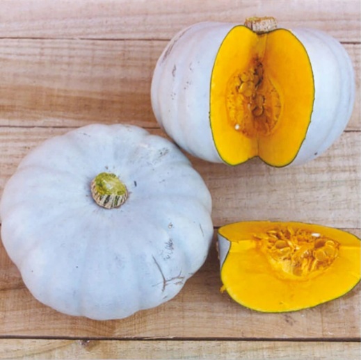 Variety of squash: Cucurbita maxima