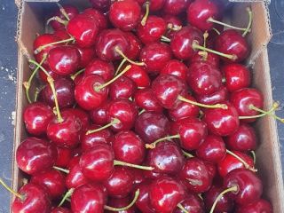 cherries Alcala la real